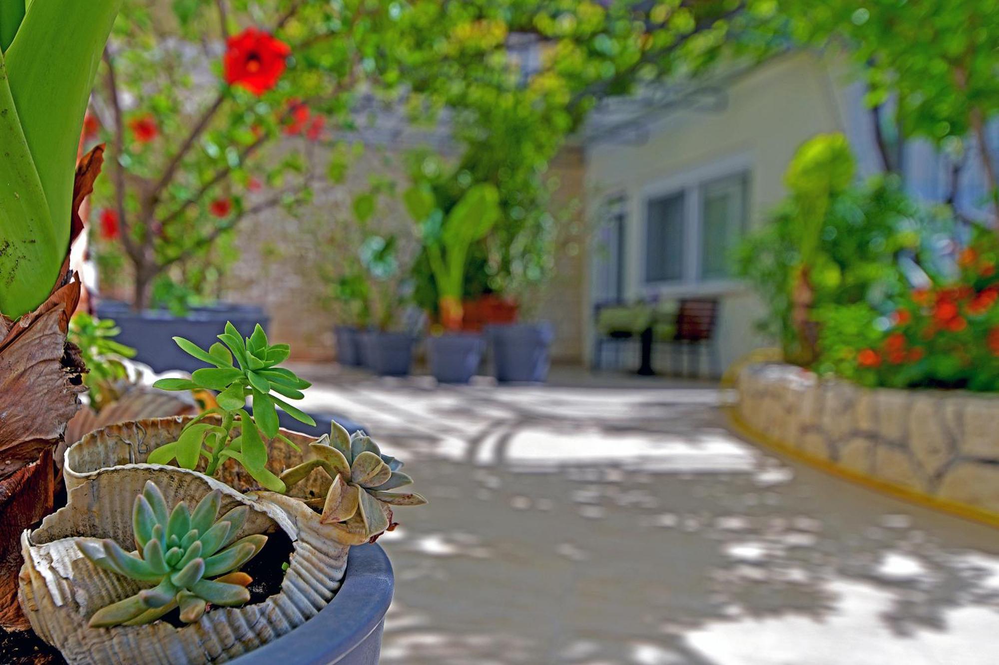 Apartments Micic Hvar Town Esterno foto